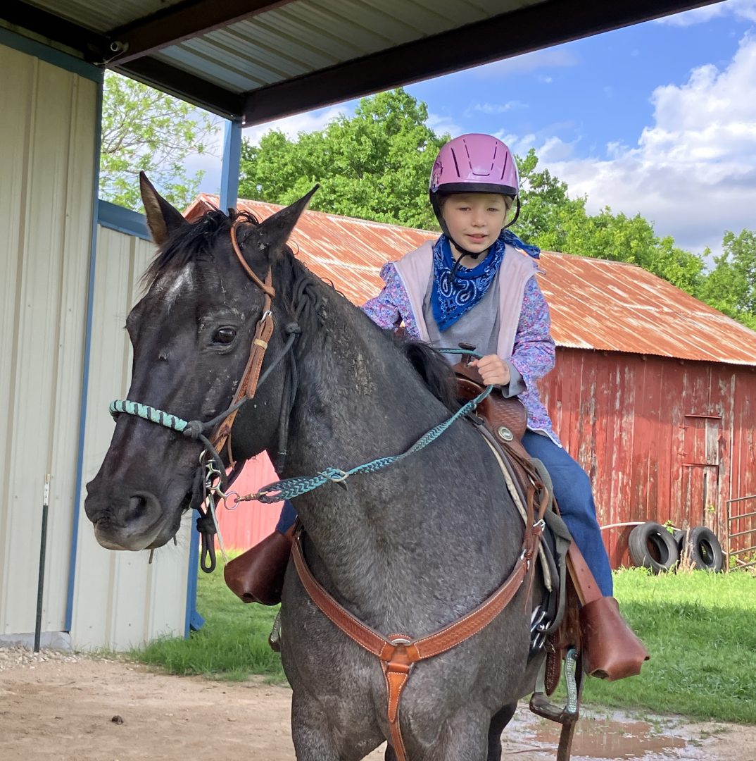 2-IMG_7687 2-IMG_7687