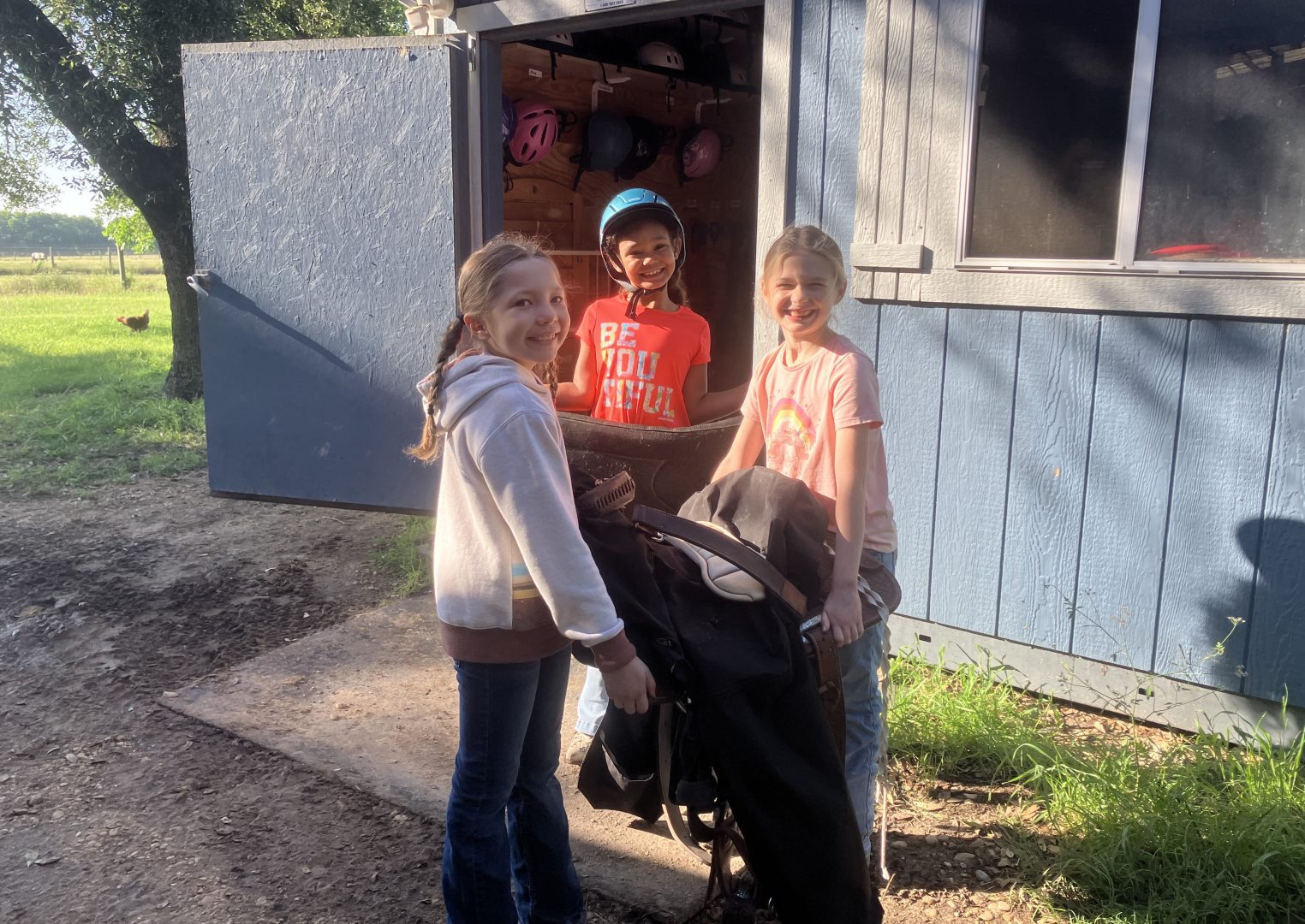 5-IMG_8093 5-IMG_8093