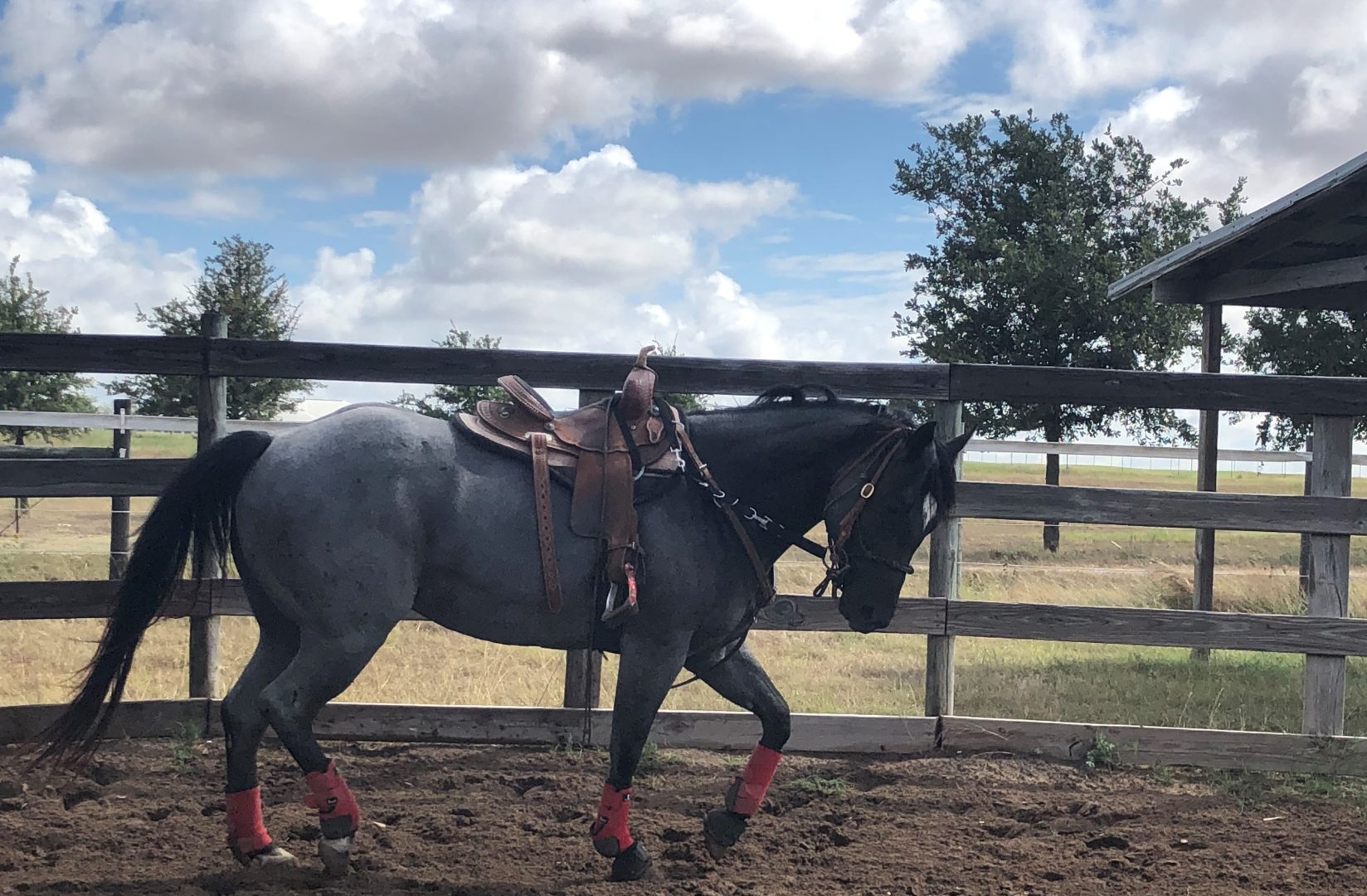 IMG_1677-2 IMG_1677-2