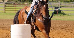 IMG_3159-e1522869768795