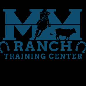 m&m-logo-blue-313x294